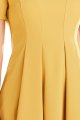 A253yellow6.jpg